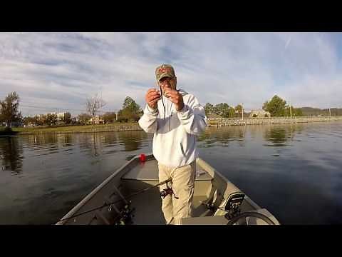 Largemouth Bass Fishing With Weightless Zoom Trick Worm
