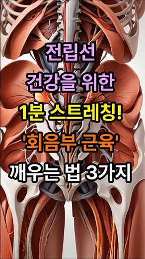 전립선 건강을 위한 1분 스트레칭, 회음부 근육 깨우는 범 3가지 | 노후 성건강 | 노년의삶 |부부관계 | 60대이상 필수시청ㅣ행복한노후ㅣ시니어성건강ㅣ오디오북