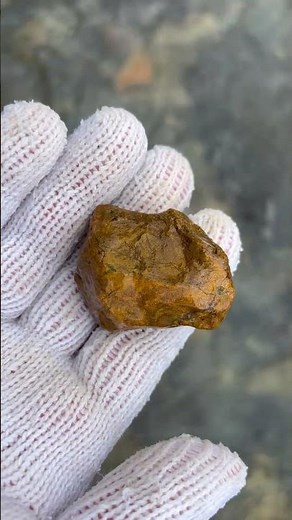 黄色い碧玉　Yellow jasper #stone #shorts #asmr #jasper#ジャスパー #gemstone #rockhounding #パワーストーン #石拾い #鉱物採集