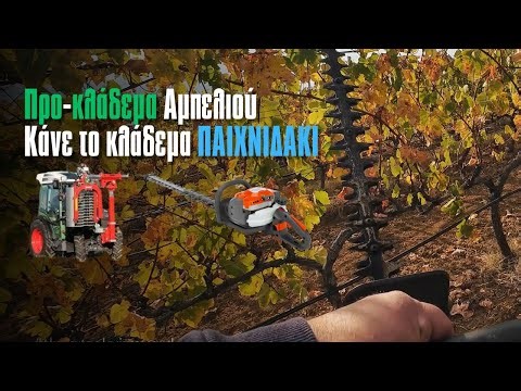Προκλάδεμα Αμπελιού - Κάνε Το ΧΕΙΜΕΡΙΝΟ Κλάδεμα ΠΑΙΧΝΙΔΑΚΙ!