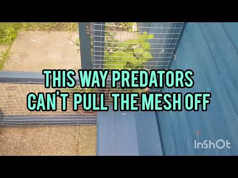 How to build a walk in Rabbit run / Aviary.