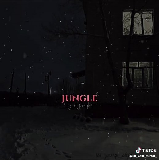 Jungle - Speed Songs with Lyrics