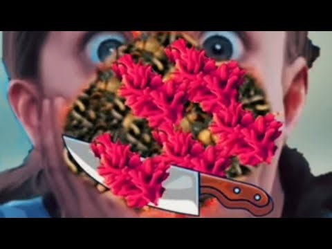 ASMR Dog Trick Treatment Deep/Infected Cleaning