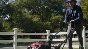 Oregon Air Filter for Riding and Walk-Behind Mowers, Fits Kohler Large Capacity Engines R-30-088-CP - The Home Depot