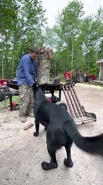 DIY Log lift for ANY firewood log splitter easy out of scrap