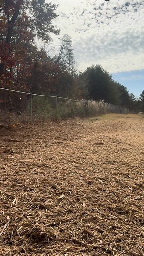 35 reactions | Making quick work of these trees to create more usable area on this Vale, NC property this morning! ⚔️ Give us a call for all of your forestry mulching & land clearing needs: ▪️Right of Way clearing & maintenance ▪️Underbrush & Tree Removal ▪️Lake,creek,river, pond shore cleanup ▪️Overgrown Property Reclamation ▪️Post-logging cleanup 望(704)-530-3950 望 | Ironside Forestry | Facebook
