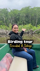 🇬🇾VG visits 🇹🇹T&T …Don’t forget your binoculars and camera! Glide through the magical Caroni Swamp on the unforgettable Winston Nanan Birding Tour — where nature comes alive in the most breathtaking way. To book contact : whatapp: 1 (868) 681-8274 | Visit Guyana