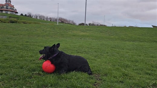 Football on the field in front of the Marine Hall this afternoon, it was high tide and a bit too windy for the beach. | Dan Tirels