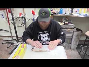 How to Properly Keep a Fish For Mounting