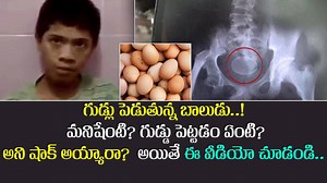 2.9M views · 1.9K reactions | కోడి.. గుడ్లు పెట్టడం కామన్.. ఇది...