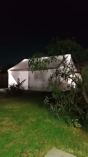 Back neighbors are having a party part 2