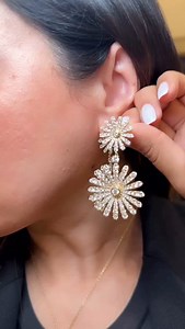 250 reactions · 15 shares | Experience daisies drenched in diamonds...