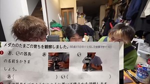 クイズとすずしょうとで面白い挑戦