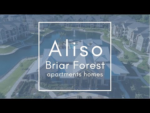 Aliso Briar Forest - Houston, TX