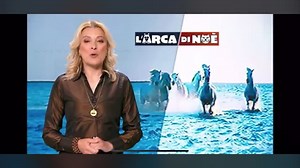 6K views · 366 reactions | Complimenti a Paolo Fracaro  L’Arca di Noè - Canale 5 | Altopiano di Asiago e dei 7 Comuni | Facebook