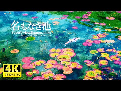 名もなき池(岐阜県関市板取）観光スポット