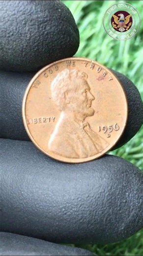 SUPER RARE PENNY! #coin #chicagocoin #coincollecting #money #coincollectinghobby #currency