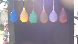 fullsizeoutput_4921.mov