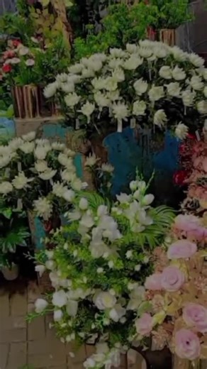 #foryoupage❤️❤️