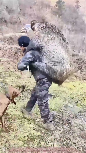 Physical Techniques in Wildlife Control: Managing Wild Boar Populations