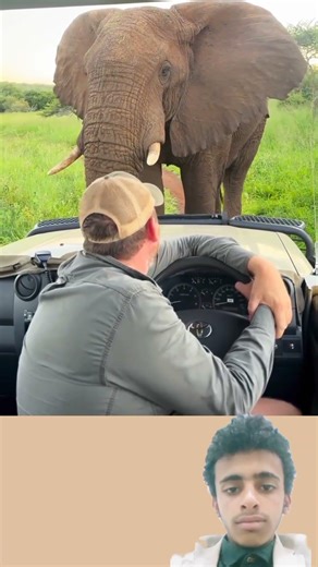 كان الفيل يتقدم نحوي فشعرت بالخوف فجعل الله في قلبي الطمأنينة...