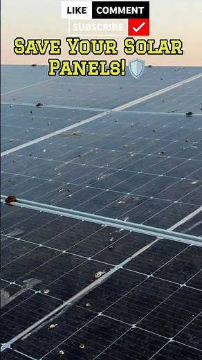 ⚙️Best Gadgets For Protect Your Solar Plant 🧑🏻‍🔧DIY 🔩Structure 🔍Facts 🛡️Safety #shorts #engineering