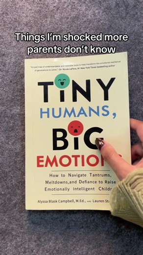 Navigating Tantrums: A Parent's Guide to Emotional Regulation