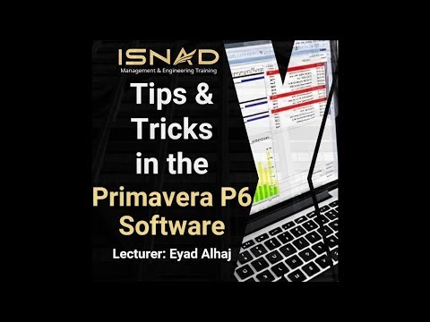 Tips & Tricks in the Primavera P6 Software (Clip 6)