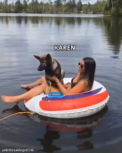 15M views · 95K reactions | dogs are the best friends humans have, shouldn't we be theirs too?! 殺 - #REPOST of an old karen & jade compilation (pre-jasper) lookout for a new video of the two puppers tomorrow 邏 love u all  | Jade the Sable GSD | Facebook