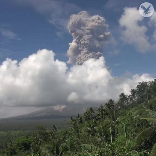 Volcano explodes in the Philippines http://www.independent.co.uk/news/world/asia/mayon-eruption-latest-news-volcano-explodes-philippines-alert-level-raised-authorities-warning-a8171486.html | The Independent
