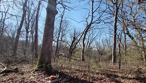 Turner Logging, LLC on Reels