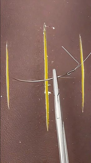 Cat Gut Surgical Sutures 😷 #goodtoknow #surgeonlife #secrethacks #suturing #surgery #funfacts