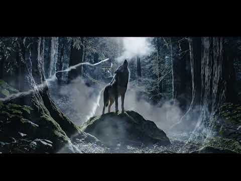 Wolf Howling at Night 🌕🐺 | Mysterious & Powerful Sounds of Nature