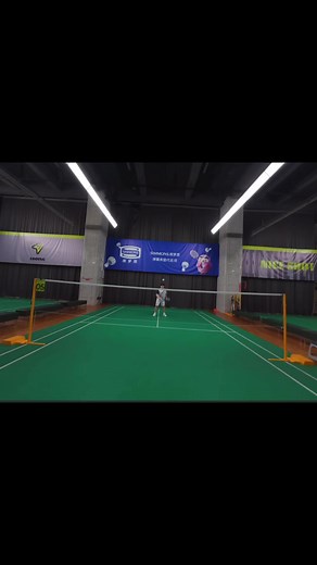 Babolat vs. Yonex: Best Badminton Rackets