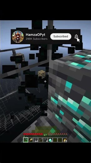 Minecraft X-ray Moment..💀