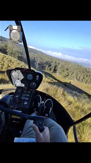 High Altitude landing in R22 #helicopters #aviation