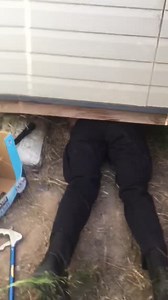 Our Humane Law Enforcement Officers are out in the field every day making sure animals are safe. Since we are now providing animal services for six additional cities (Carlsbad, Del Mar, Encinitas, San Diego, Santee and Solana Beach), our team is performing animal rescues in new communities. One of our officers did not think twice about crawling underneath a shed to rescue two newborn puppies in Encanto. It took some extra work to capture the frightened mama dog, but now they are all recovering t