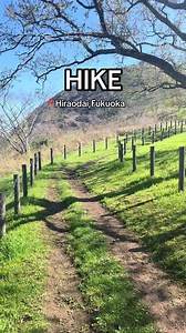 Hiraodai Karst Plateau Fukuoka: Hiking Guide & Travel Tips