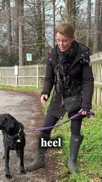 Consistency in 'heel' training.