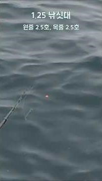 Is that a 50cm rock bream?