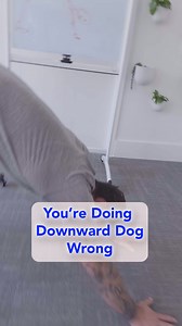 Downward Dog is a fantastic move, so let’s ensure we’re doing it correctly. Learn how to do it right here, and if you enjoy this, be sure to sign up for our free Lower Body Fix Masterclass!: https://link.weshape.com/fb-LBF-SH48 | WeShape