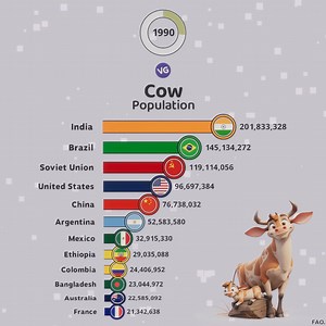 71K views · 556 reactions | The Countries with the Most Cows in the World | VGraphs | Facebook