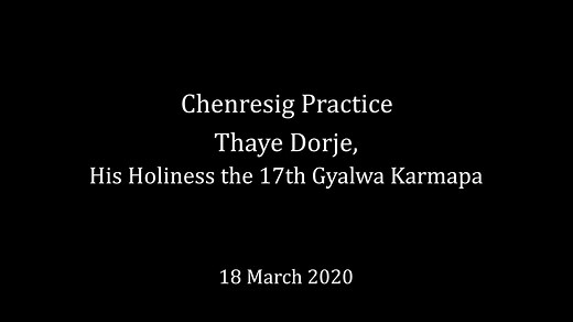 Thaye Dorje, His Holiness the 17th Gyalwa Karmapa, shares a special teaching on the practice of Chenresig. #Karmapa | Karmapa