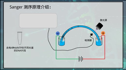 【测序专题01】Sanger测序原理