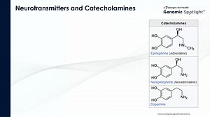723 Catecholamine Metabolism #1