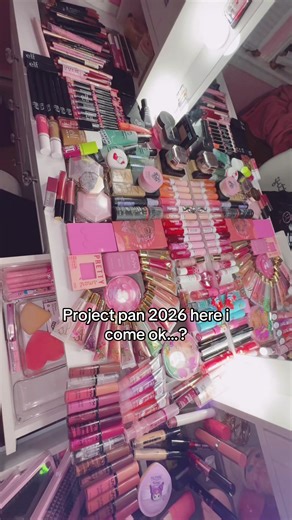 Unexpected Project Pan Haul