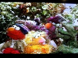 Sesame Street's Peter and the Wolf Part 5