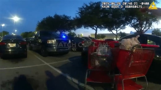 Target shoplifters stunned the crowd as they were exposed with carts overflowing in stolen treasures worth thousands, turning a quiet store into the stage of the year’s most shocking retail showdown | Police Insider