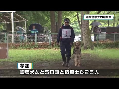 警察犬が日ごろの訓練の成果を披露 下野市で栃木県内訓練競技会