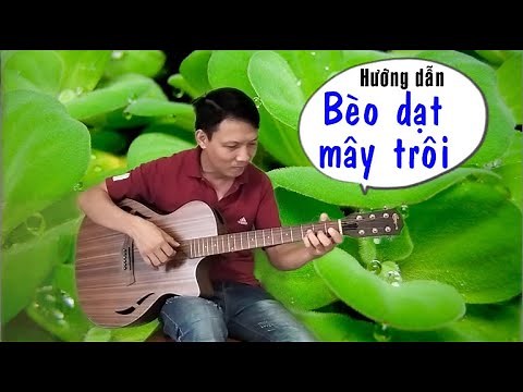 Hướng dẫn Guitar - BÈO DẠT MÂY TRÔI - Toản Guitar